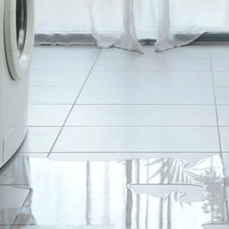 Appliance Leak Cleanup in Derby, KS