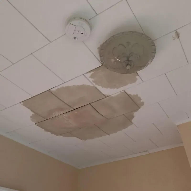 Ceiling Water Damage Repair in Derby, KS