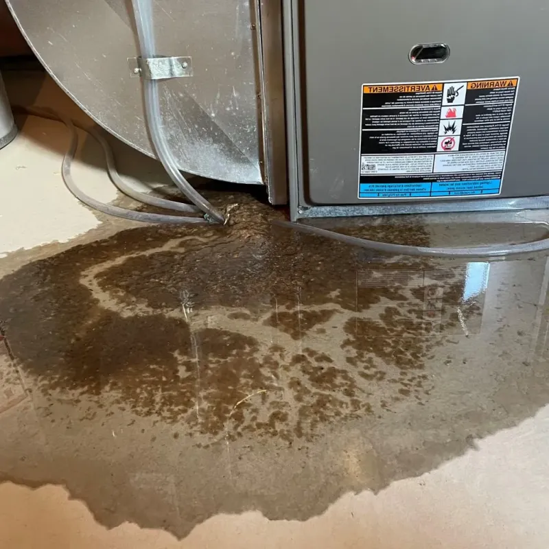 Pipe Burst and Leak Restoration in Derby, KS
