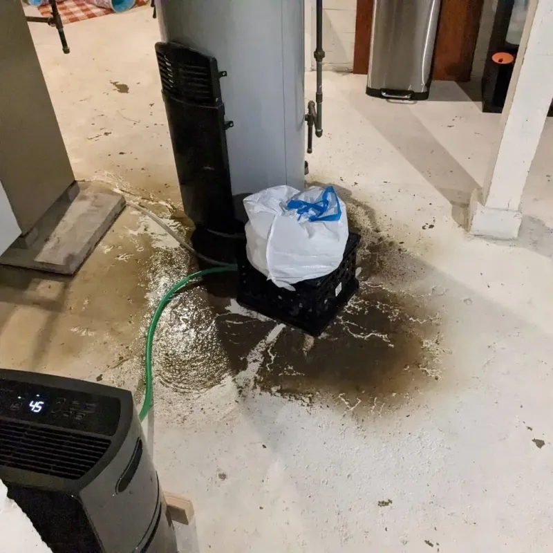 Sewage Backup Cleanup Service in Derby, KS